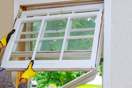 Window Replacement in Princeton, FL